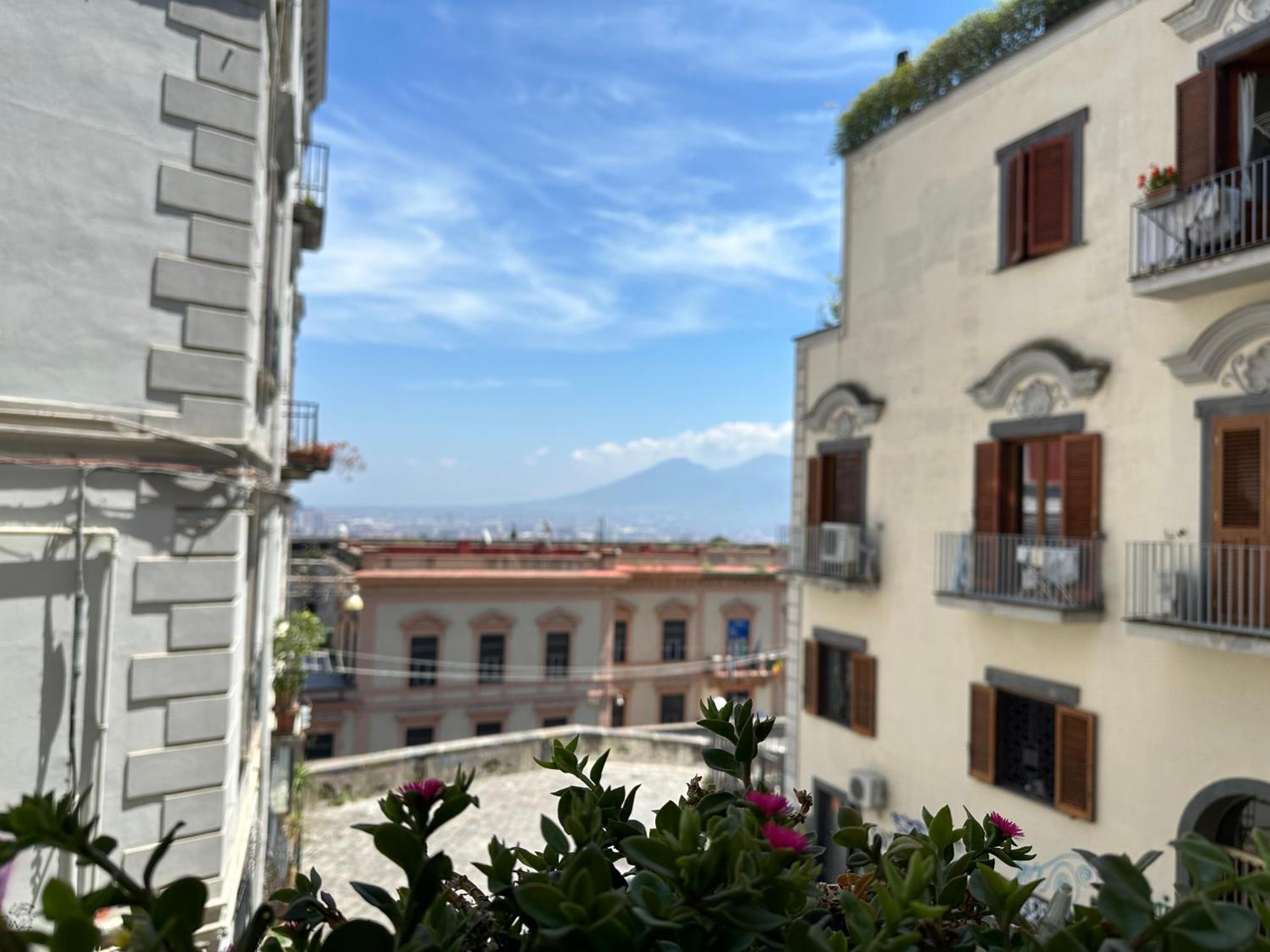 Pedamentina 9 - Vesuvio View - My Place Naples